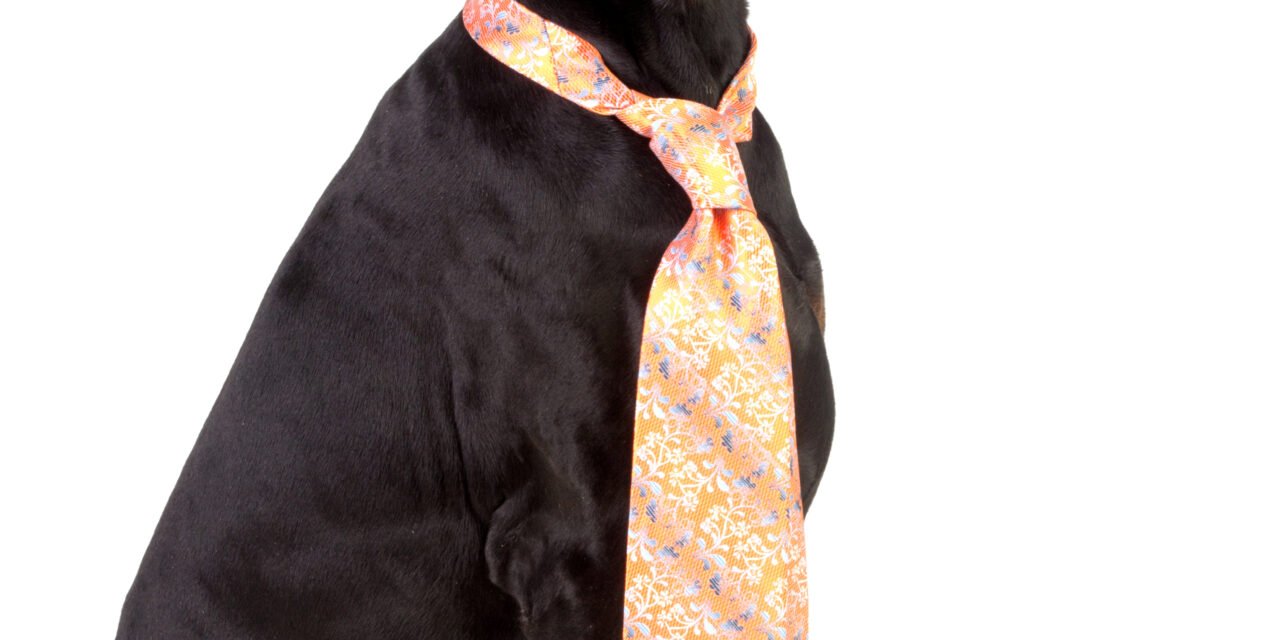 The Ultimate Guide to Transforming SMB Customer Experience